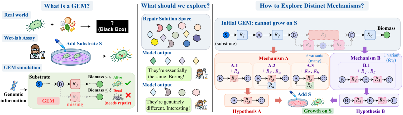 Beyond Action Entropy: Quotient-Space Exploration for Genome-Scale Metabolic Model Repair